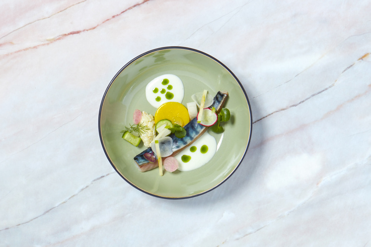 Zacht gegaarde makreel met piccalilly, knolselderij en yoghurt