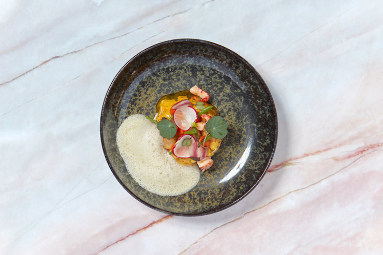 Salade van rode rivierkreeft met tomatengelei, citrus en biancardo saus