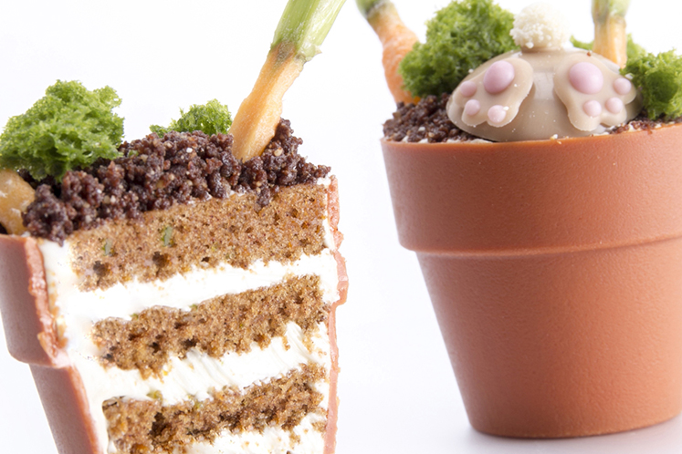 Bloempot met carrot cake
