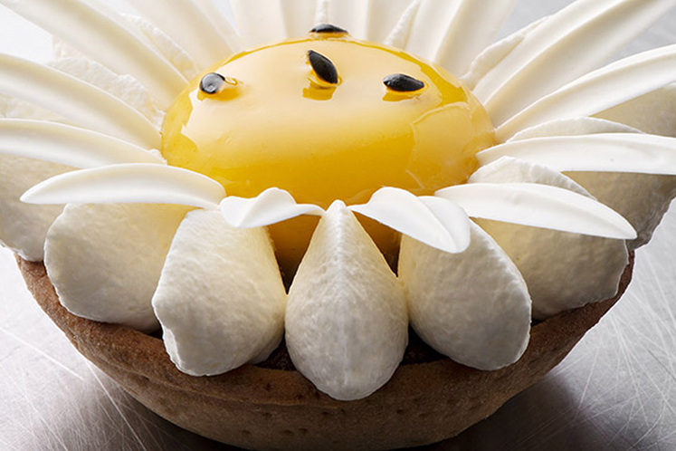 Daisy met passievruchtenglaçage