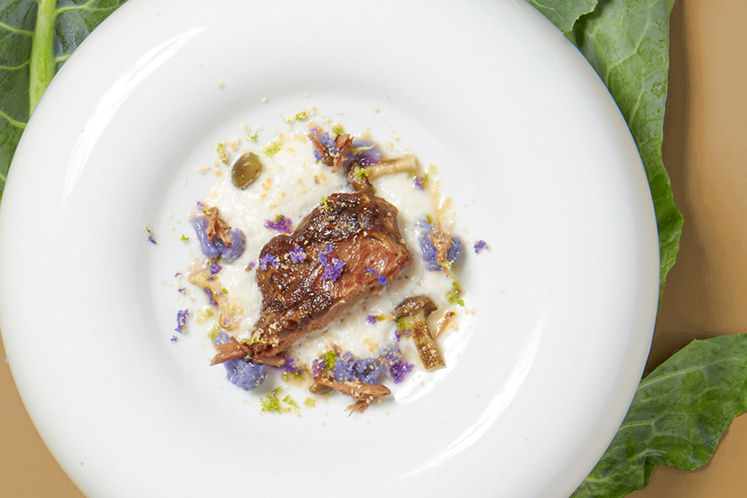 Espuma van bloemkool, gebakken kalfswang en paarse bloemkool