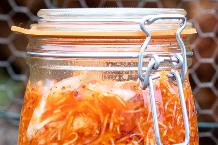 Gefermenteerde Chinese kool