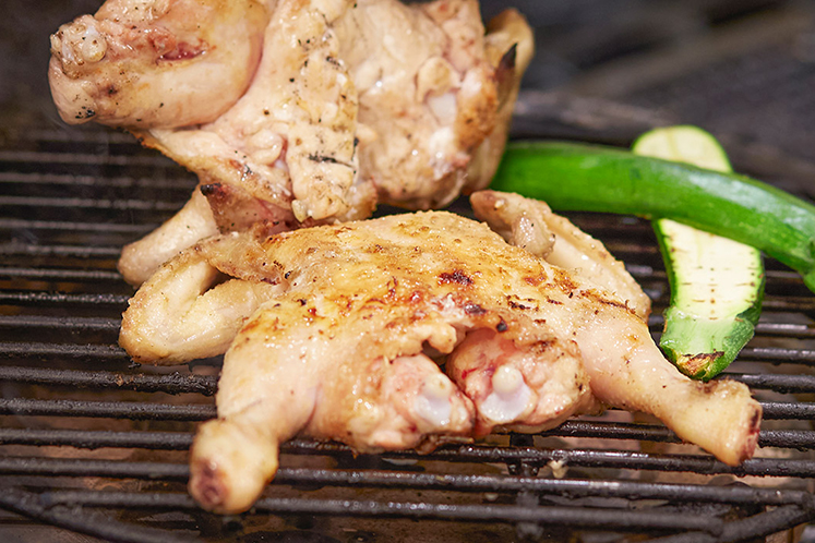 Gevlinderde poussins