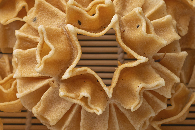 Traditionele lotusbloemen