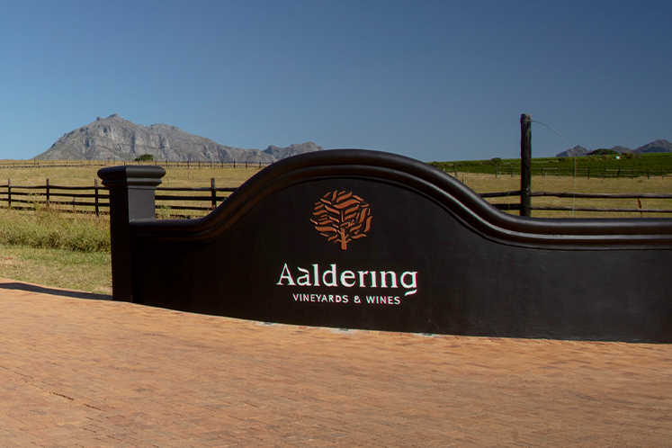 Aaldering | Zuid-afrikaanse wijn 