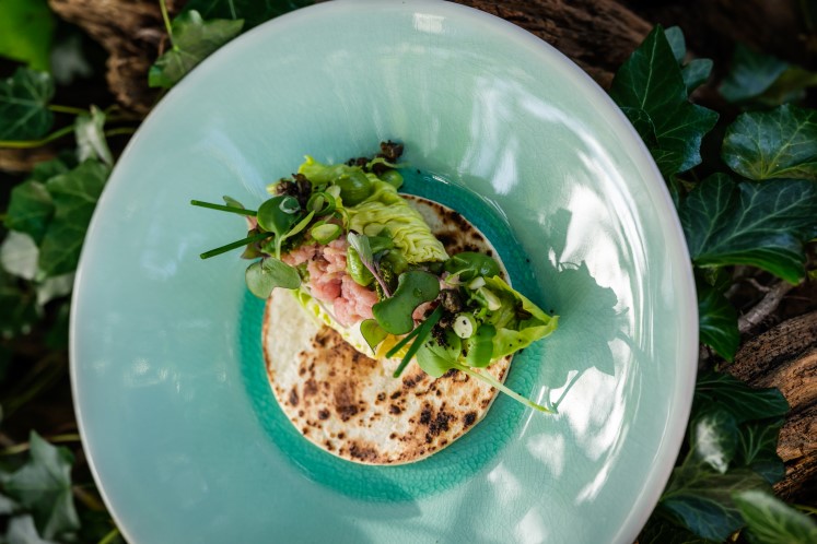 Tartaar op tortilla met guacamole en salsa verde